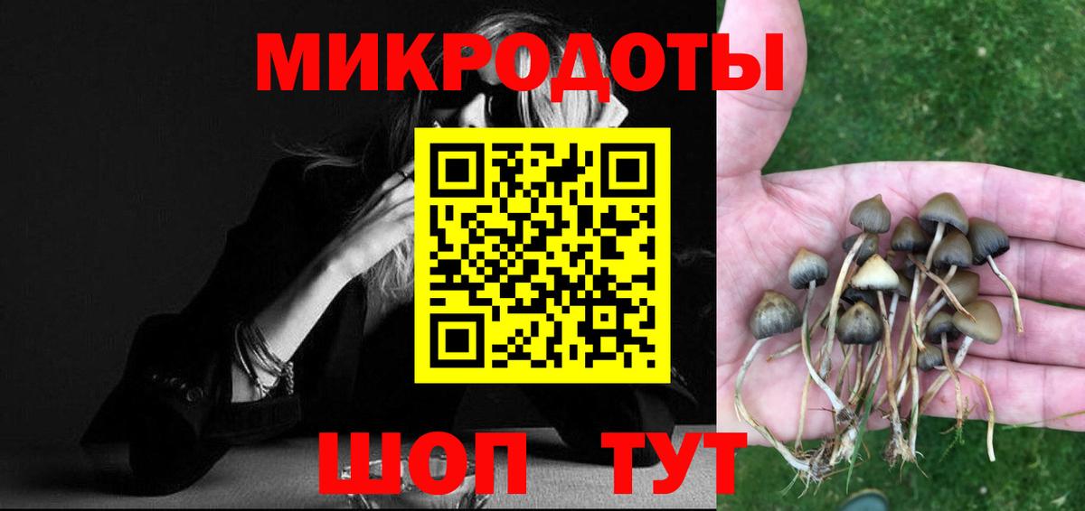 где найти наркотики  Галлюциногенные грибы MAGIC MUSHROOMS  Вход с VPN  Назарово 